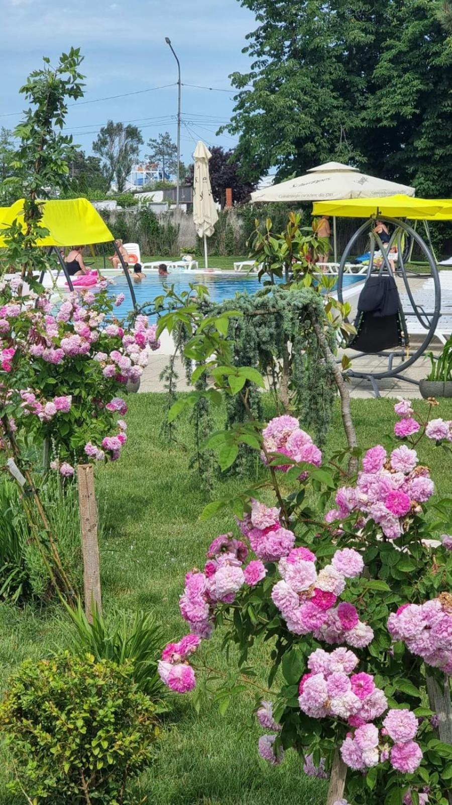 Hotel Iulia Resort Venus Εξωτερικό φωτογραφία
