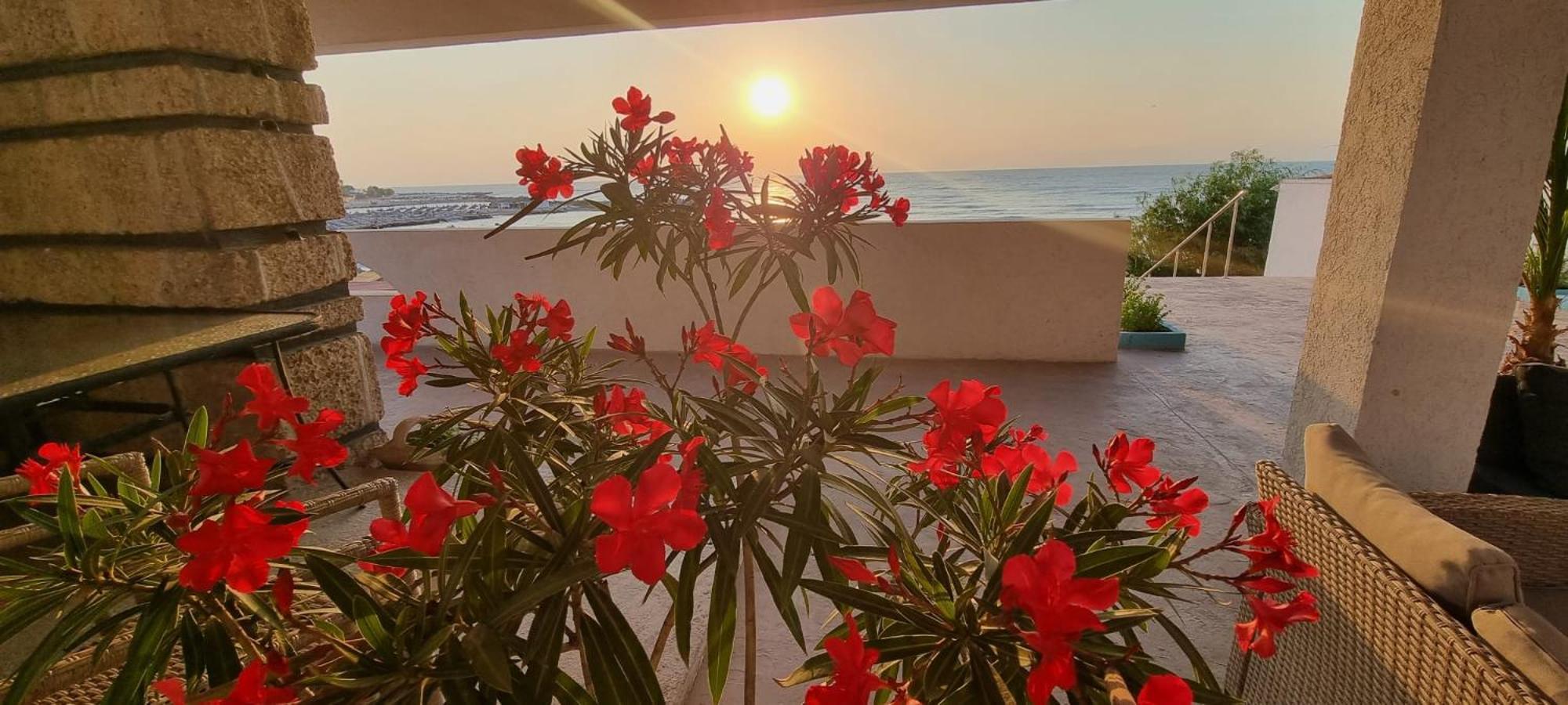 Hotel Iulia Resort Venus Εξωτερικό φωτογραφία